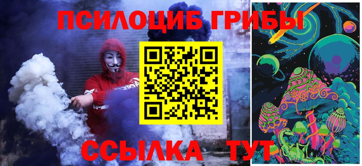 Псилоцибиновые грибы мухоморы Томск